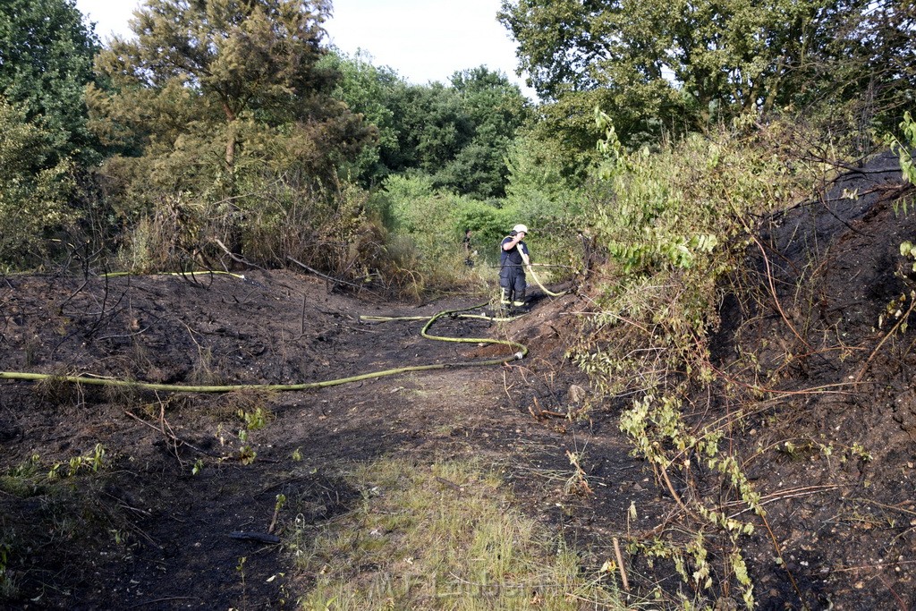 Waldbrand Koeln Hoehenhaus Hoehenfelder Mauspfad P146.JPG - Miklos Laubert